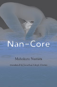 Nan Core